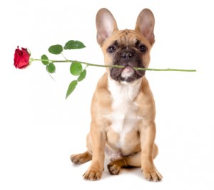 inbound marketing valentine