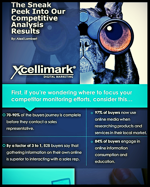 Competitive_Analysis_Infographic_Snap_Shot.png